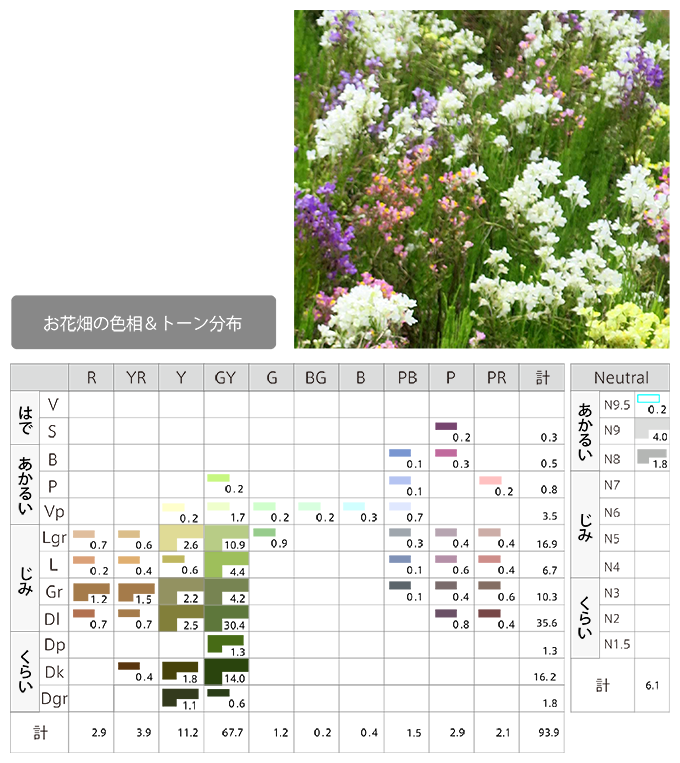 お花畑の色相&トーン分布