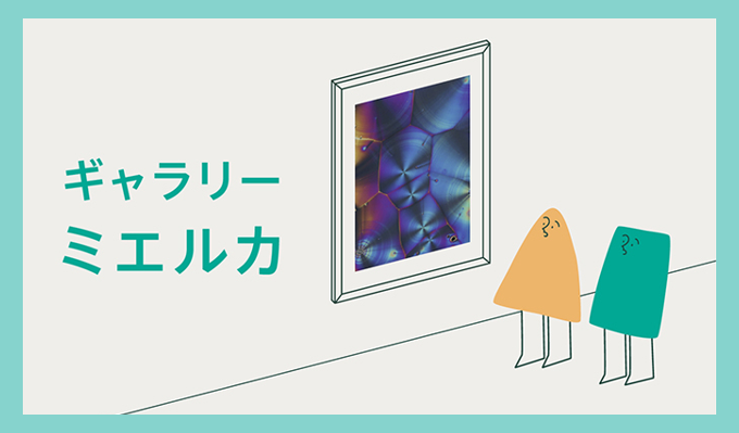 ギャラリー ミエルカ