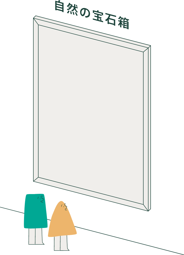 自然の宝石箱