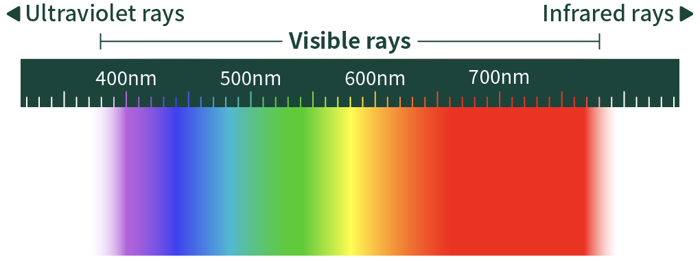 ◀︎ Ultraviolet rays Visible rays Infrared rays ▶︎