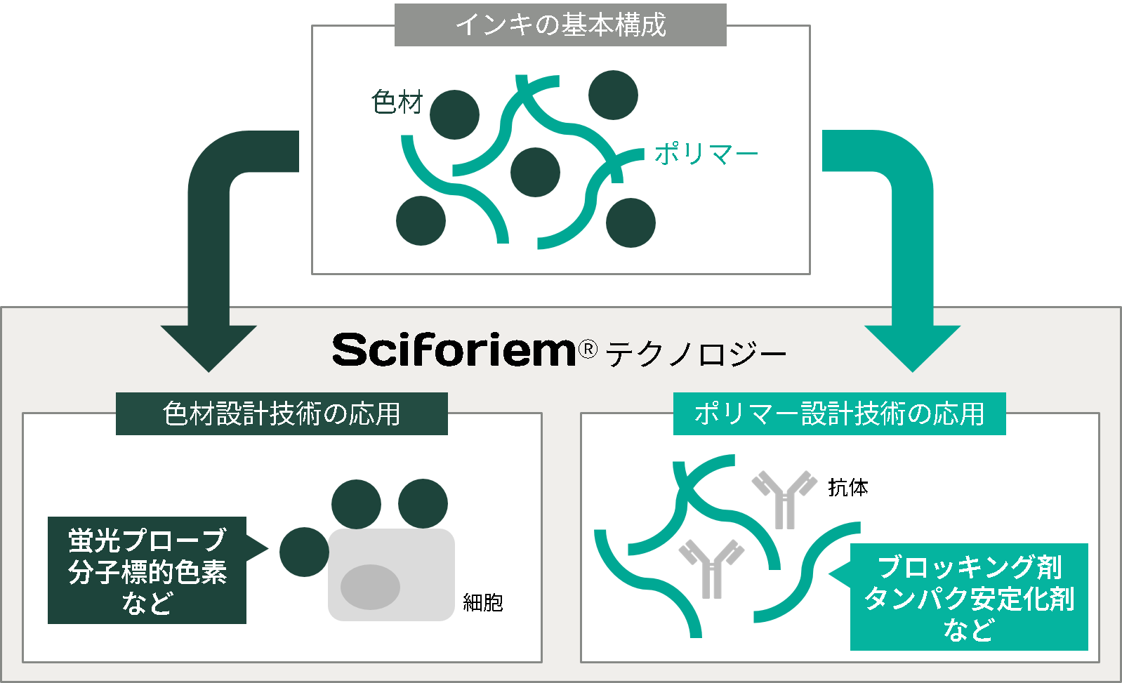 Sciforiem ™将着色剂、聚合物等材料设计技术应用于生物科学领域的技术