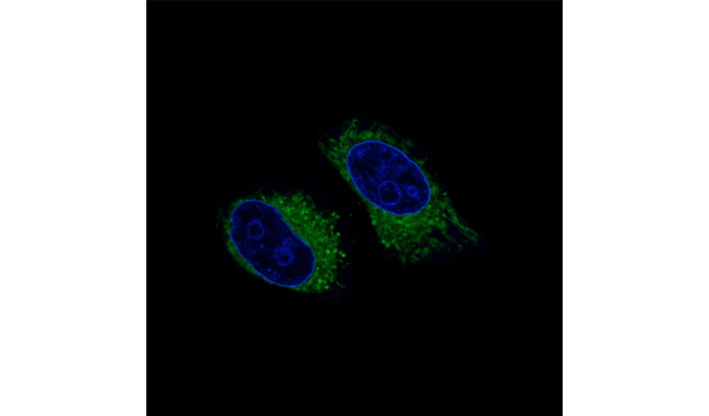 Imaging with the Sciforiem™ FI7510