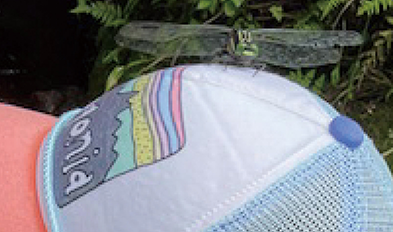 已报道的生物照片