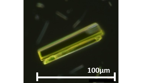 Single Crystal of Quinophthalone Yellow Pigment (under development)