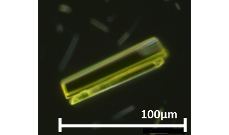 キノフタロン黄色色材単結晶（開発品）