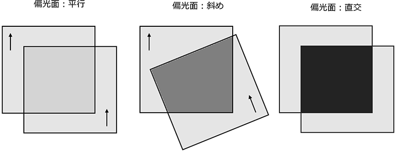 Comparison when the polarization planes of two polarizing plates are parallel, diagonal, or perpendicular