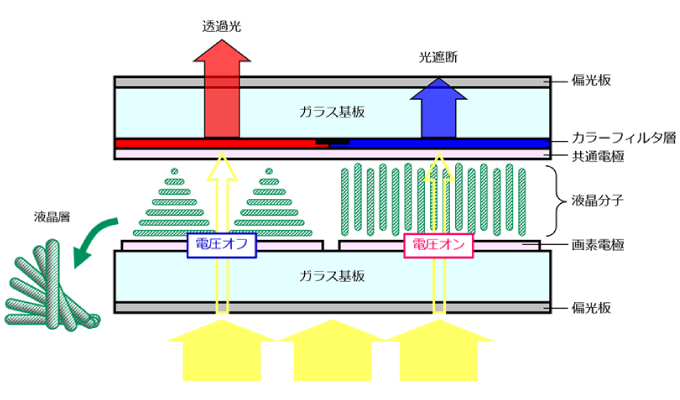 電圧による液晶分子の配列変化