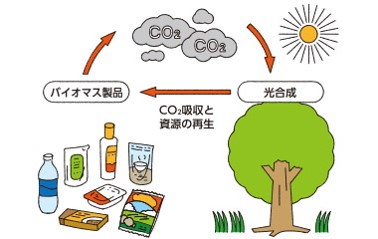 Carbon neutral image of biomass pressure sensitive adhesives