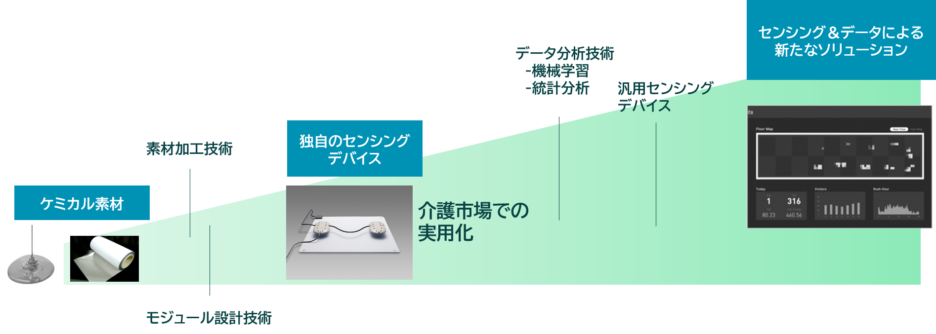 Fichvita ™的历史