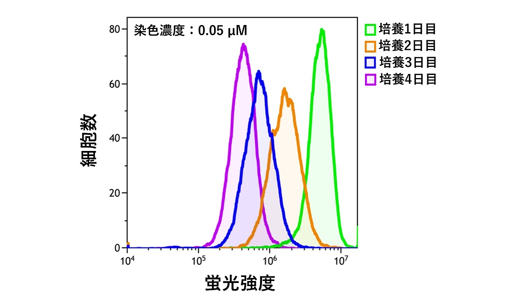 利用HeLa细胞进行增殖分析