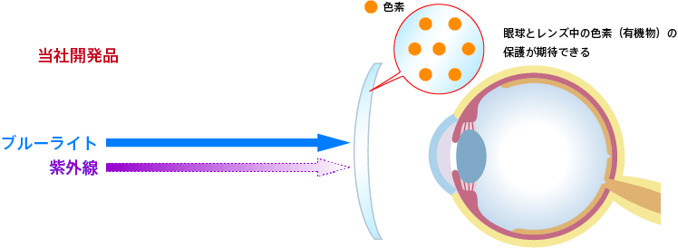 Image of protection of pigments in lenses using our developed product