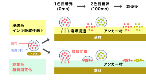 High-speed image formation technology using anchoring agents