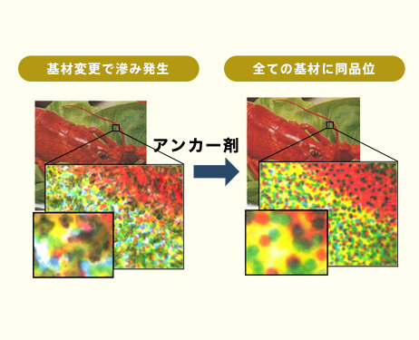 アンカー剤使用イメージ