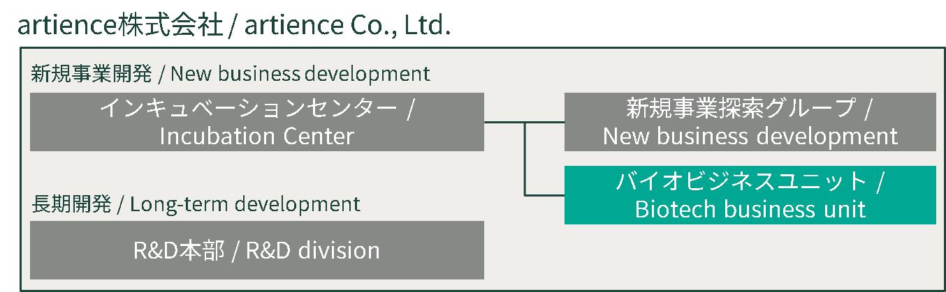 開発体制