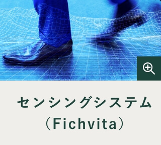 センシングシステム（Fichvita）