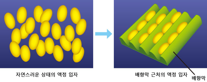 자연스러운 상태의 액정 입자와 배향막 근처의 액정 입자의 이미지