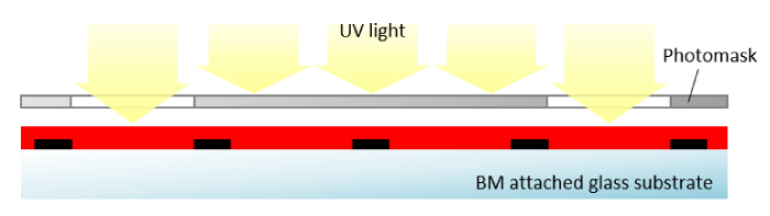 2. Cover the glass with the photomask corresponding to the pattern of the color filter. Then, apply ultraviolet light to partially insolubilize the color resist.