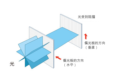 有1片偏光板垂直設置時