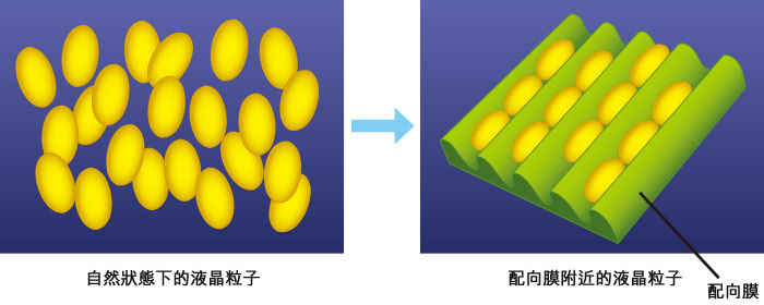 自然狀態的液晶粒子和配向膜附近的液晶粒子的示意圖